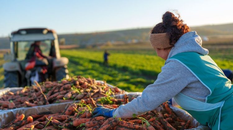 Fermierii și șomerii din sate, sprijiniți de un nou proiect european de 3 milioane euro