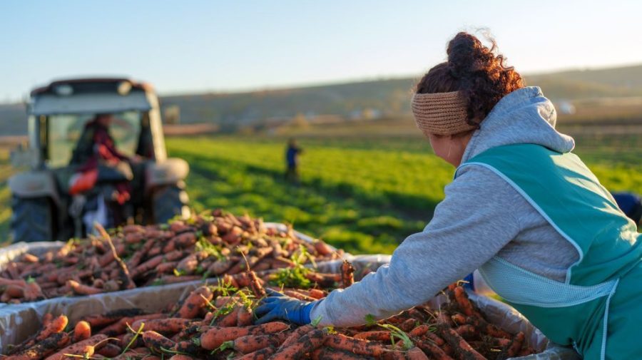 Fermierii și șomerii din sate, sprijiniți de un nou proiect european de 3 milioane euro