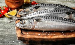 Macroul devine un lux: prețul ajunge la peste 300 lei/kg din cauza reducerii cotelor UE la pescuit