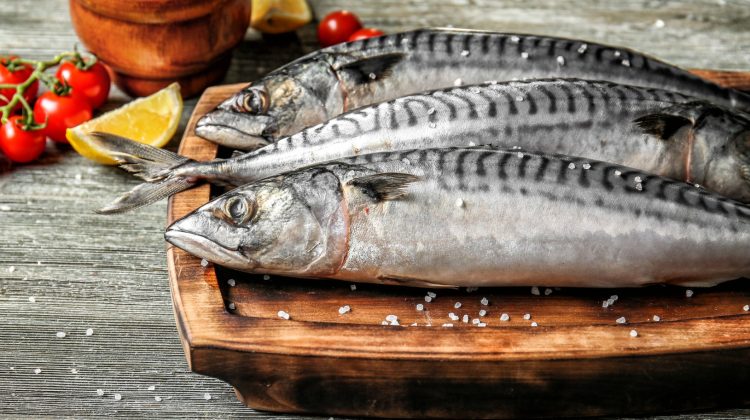 Macroul devine un lux: prețul ajunge la peste 300 lei/kg din cauza reducerii cotelor UE la pescuit