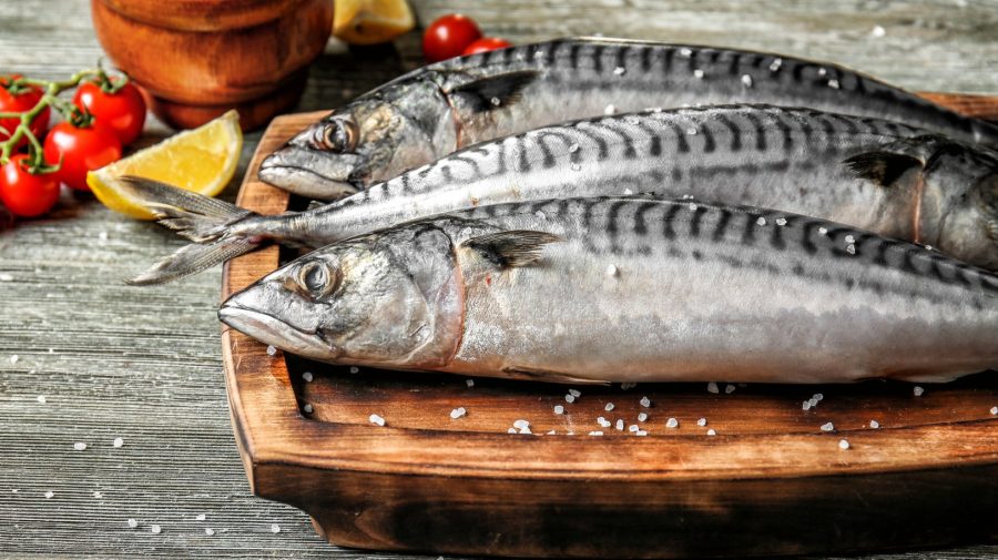 Macroul devine un lux: prețul ajunge la peste 300 lei/kg din cauza reducerii cotelor UE la pescuit