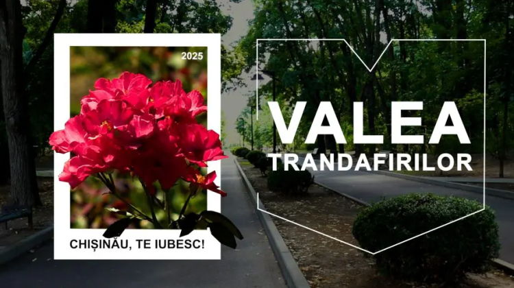 Parcul Valea Trandafirilor – unul dintre cele mai frumoase din oraș