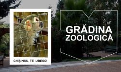 Grădina Zoologică din Chișinău – locul perfect pentru a petrece timpul cu familia