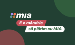 MIA Plăți Instant – cifrele care definesc anul 2025