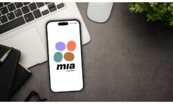 Plăți instant: soluție modernă pentru afaceri și consumatori