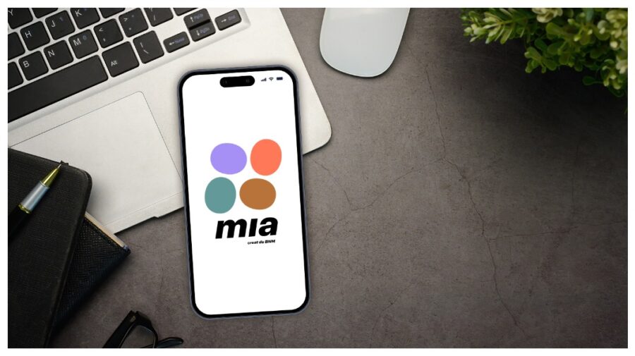 Plăți instant: soluție modernă pentru afaceri și consumatori