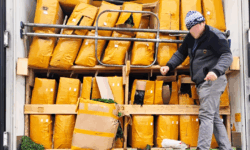 Pericol pentru consumatori: peste 15 tone de verdețuri și ceai cu pesticide, distruse la graniță