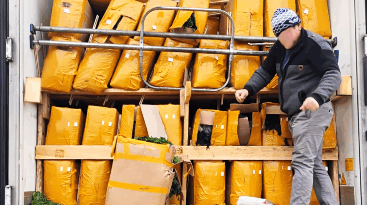 Pericol pentru consumatori: peste 15 tone de verdețuri și ceai cu pesticide, distruse la graniță