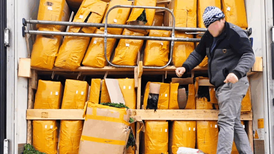 Pericol pentru consumatori: peste 15 tone de verdețuri și ceai cu pesticide, distruse la graniță