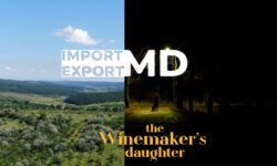 „Import/Export MD” și „Fiica vinificatorului” primesc finanțare de la CNC Moldova