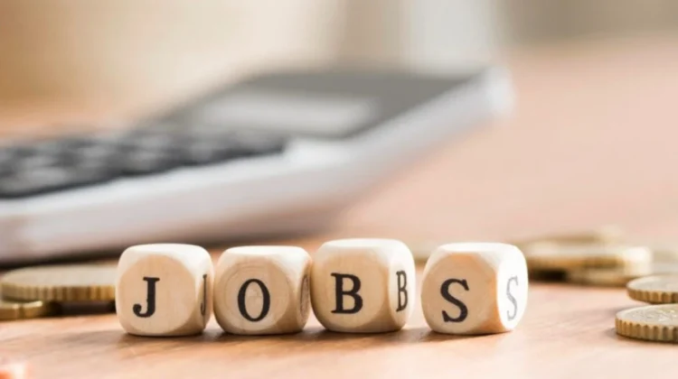 4 din 10 joburi libere sunt la stat: criză de personal în administrație, educație și sănătate