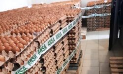 Ouă cu antibiotice pe rafturi: peste 132 de mii, retrase și distruse