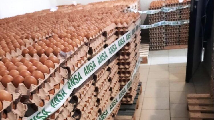 Ouă cu antibiotice pe rafturi: peste 132 de mii, retrase și distruse