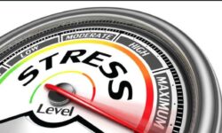 Test de criză. Ce s-ar întâmpla dacă marii debitori ai băncilor ar da faliment