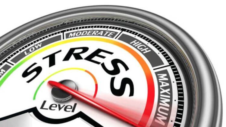 Test de criză. Ce s-ar întâmpla dacă marii debitori ai băncilor ar da faliment