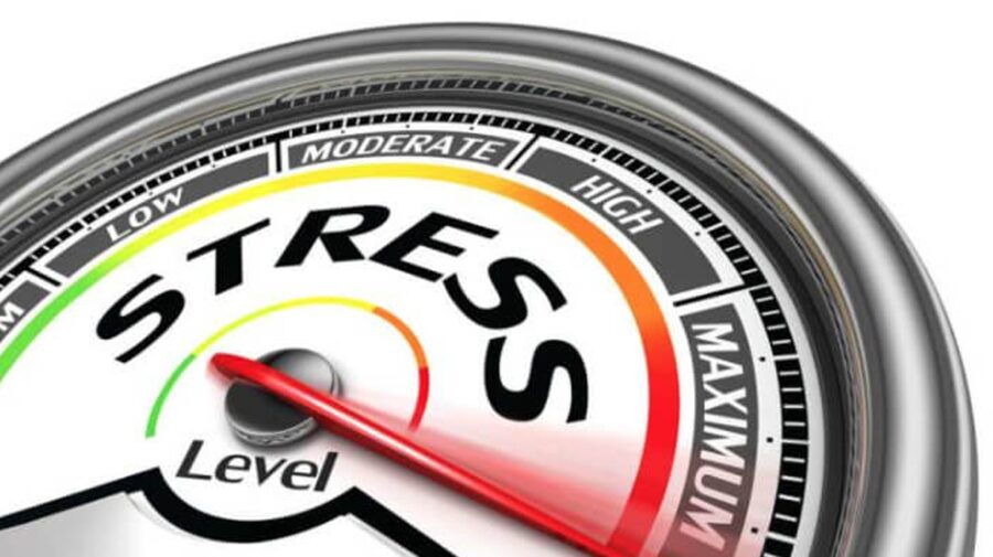 Test de criză. Ce s-ar întâmpla dacă marii debitori ai băncilor ar da faliment