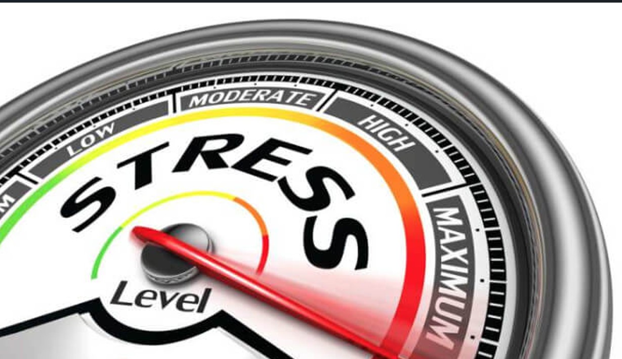 Test de criză. Ce s-ar întâmpla dacă marii debitori ai băncilor ar da faliment