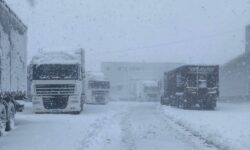 TIR-urile, trase pe dreapta: circulația suspendată la frontieră din cauza ghețușului