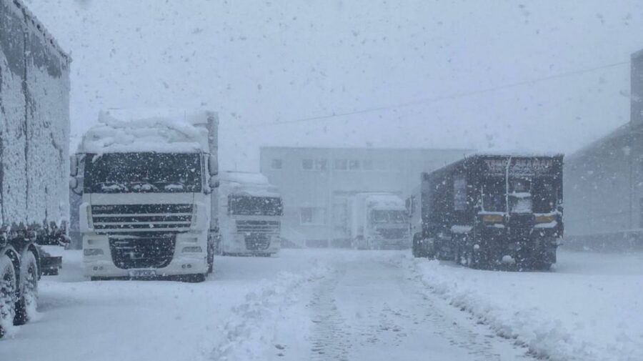 TIR-urile, trase pe dreapta: circulația suspendată la frontieră din cauza ghețușului
