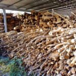 De la pistă la sobă: Aeroportul Chișinău vinde peste 260 de metri cubi de lemn defrișat