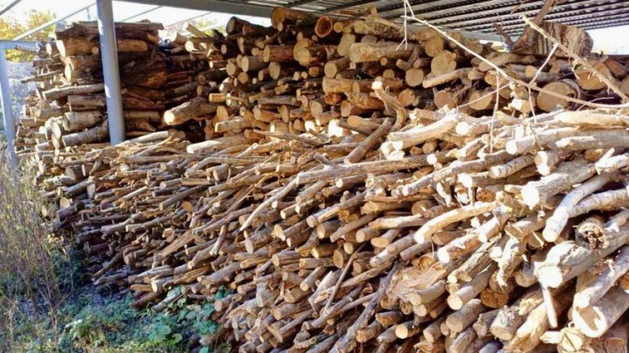 De la pistă la sobă: Aeroportul Chișinău vinde peste 260 de metri cubi de lemn defrișat