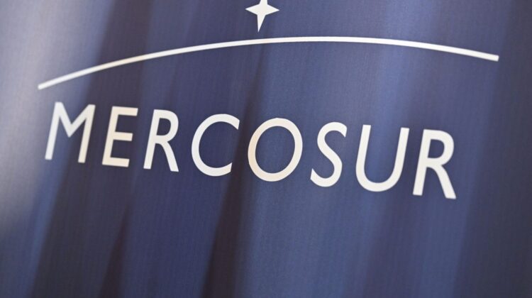 Uleiul argentinian și porumbul brazilian amenință să îngroape producătorii moldoveni