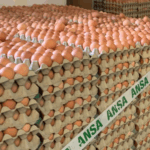 Pericol pe mesele moldovenilor: un lot de ouă, rechemat de urgență din magazine