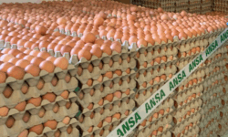 Pericol pe mesele moldovenilor: un lot de ouă, rechemat de urgență din magazine