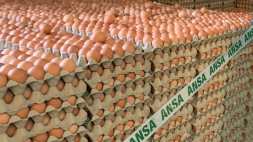 Pericol pe mesele moldovenilor: un lot de ouă, rechemat de urgență din magazine