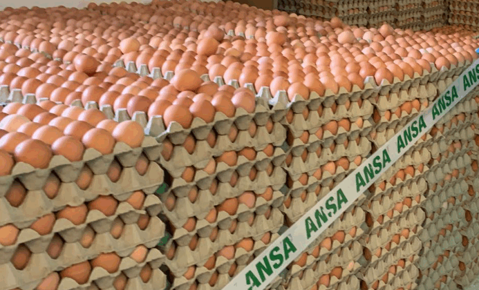 Pericol pe mesele moldovenilor: un lot de ouă, rechemat de urgență din magazine