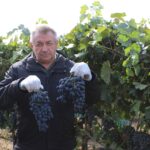 De pe șantierele din Franța direct pe rafturile UE. Povestea fermierului din Cahul