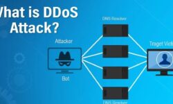 Atac tehnic, discreditare publică și izolare! Istoria unei companii IT din Moldova, împinsă în afara pieței europene