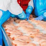 Comisia Europeană permite exportul de carne proaspătă și procesată de pasăre din toată Moldova