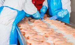 Comisia Europeană permite exportul de carne proaspătă și procesată de pasăre din toată Moldova