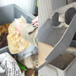 Biscuiți cu ulei de palmier neconform, vânduți în magazine: 2,4 tone retrase și transformate în hrană pentru animale