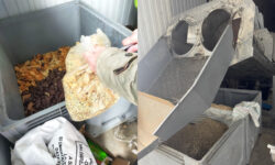 Biscuiți cu ulei de palmier neconform, vânduți în magazine: 2,4 tone retrase și transformate în hrană pentru animale