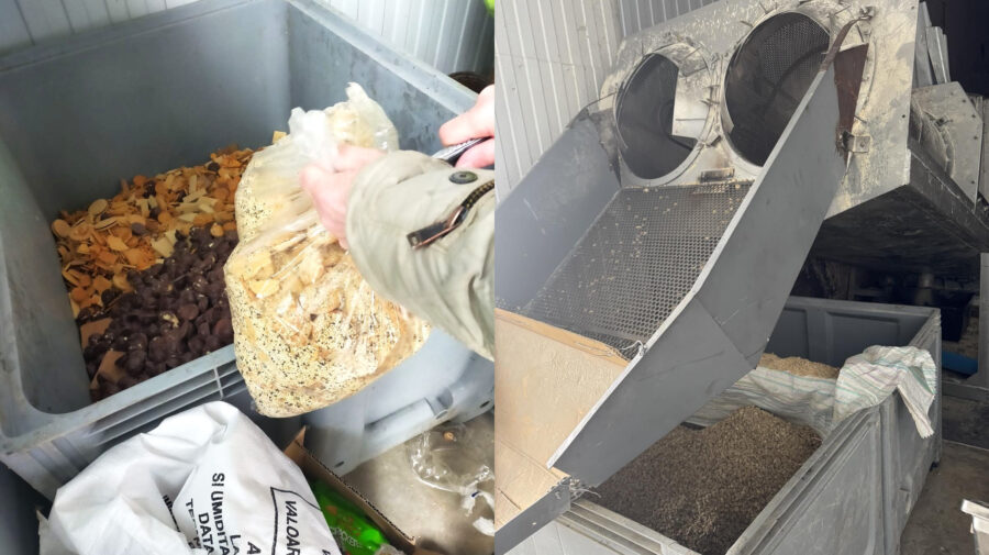 Biscuiți cu ulei de palmier neconform, vânduți în magazine: 2,4 tone retrase și transformate în hrană pentru animale