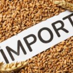 Piața cerealelor, în vizorul Consiliului Economic: peste 88 de tone s-au importat de la începutul anului