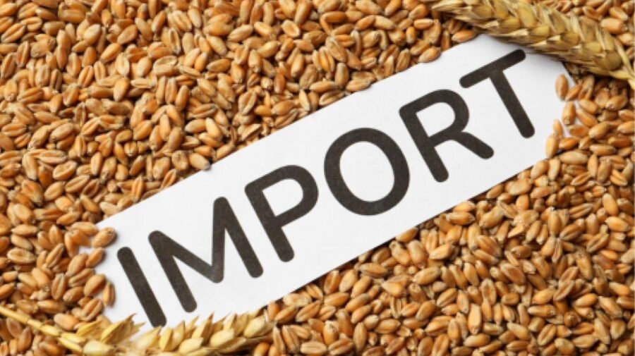 Piața cerealelor, în vizorul Consiliului Economic: peste 88 de tone s-au importat de la începutul anului
