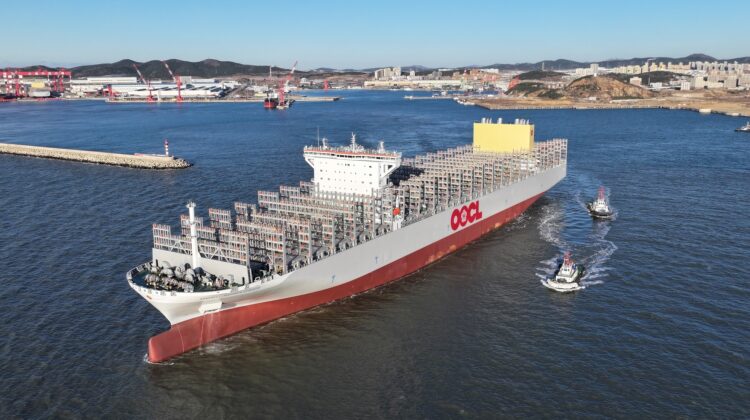 Corabia care mută piața: 27.500 tone pot trage prețurile în jos la floarea-soarelui din Moldova