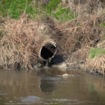 Daune de 1,3 milioane de lei aduse mediului: Ape uzate, deversate în râul Bâc de o întreprindere din Anenii Noi