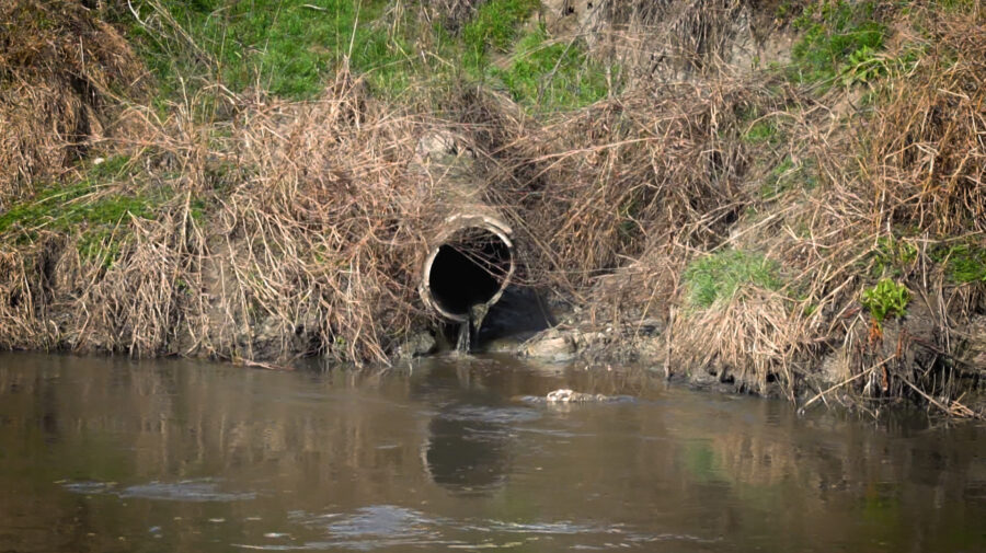 Daune de 1,3 milioane de lei aduse mediului: Ape uzate, deversate în râul Bâc de o întreprindere din Anenii Noi