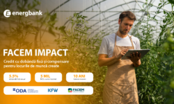 FACEM Impact — acum la Energbank