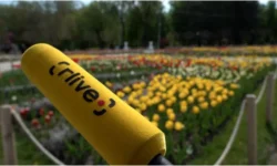 VIDEO // Cum văd cetățenii viitorul Moldovei? Răspunsuri adunate de Realitatea, înainte de Reinvent Moldova 2.0