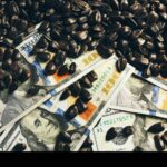 Piață capturată! 5 companii controlează piața semințelor de floarea soarelui