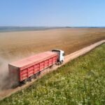 Cifrele care au lovit agricultura. Exporturile de grâu s-au majorat cu 18%, dar veniturile s-au dus în jos