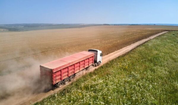 Cifrele care au lovit agricultura. Exporturile de grâu s-au majorat cu 18%, dar veniturile s-au dus în jos