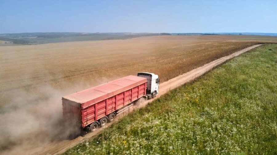 Cifrele care au lovit agricultura. Exporturile de grâu s-au majorat cu 18%, dar veniturile s-au dus în jos