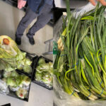 Peste 10 tone de salată Iceberg și ceapă verde alterate din import, distruse de ANSA