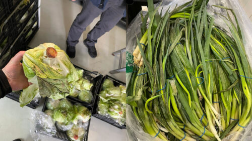 Peste 10 tone de salată Iceberg și ceapă verde alterate din import, distruse de ANSA